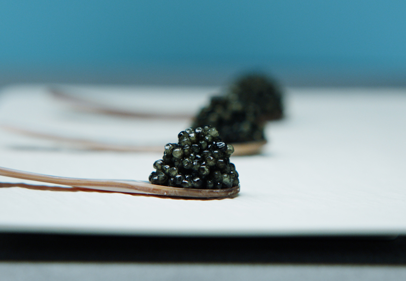 Degustación de Caviar Riofrío.jpg
